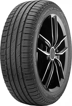 Автомобильные шины Ikon (Nokian Tyres) 215/70R16 100H Character Aqua SUV 1