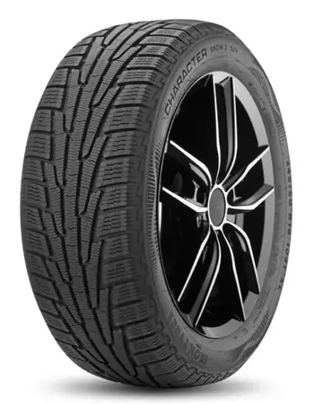 Автомобильные шины Ikon (Nokian Tyres) 235/65R18 110R XL Ikon Character Snow 2 SUV 1