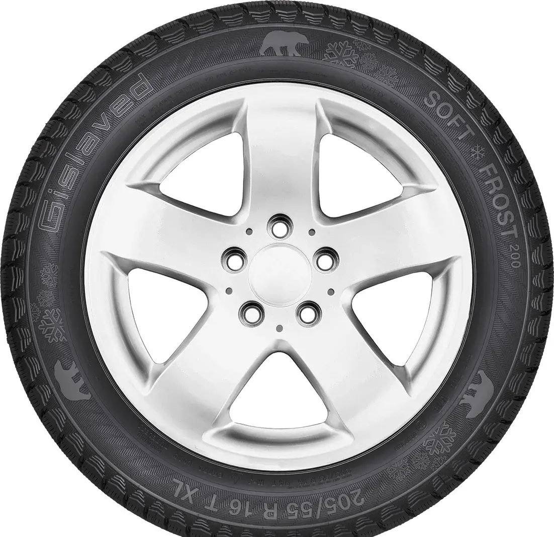 Зимняя шина Gislaved Soft Frost 200 SUV 235/60R18 107T 4