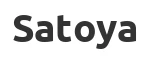Легковые шины Satoya